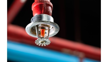 AdobeStock_499755766 scaled 2